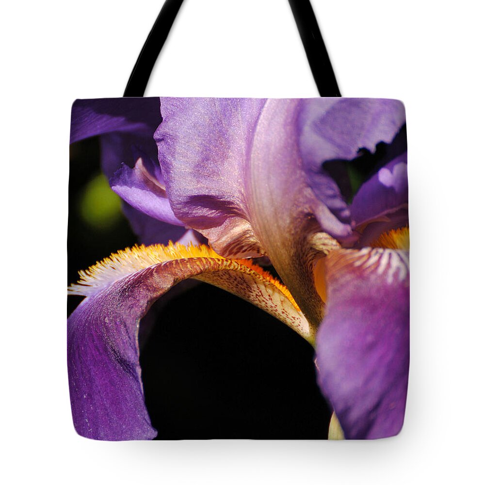 Beautiful Iris Tote Bag featuring the photograph Purple and Yellow Iris Close Up by Jai Johnson