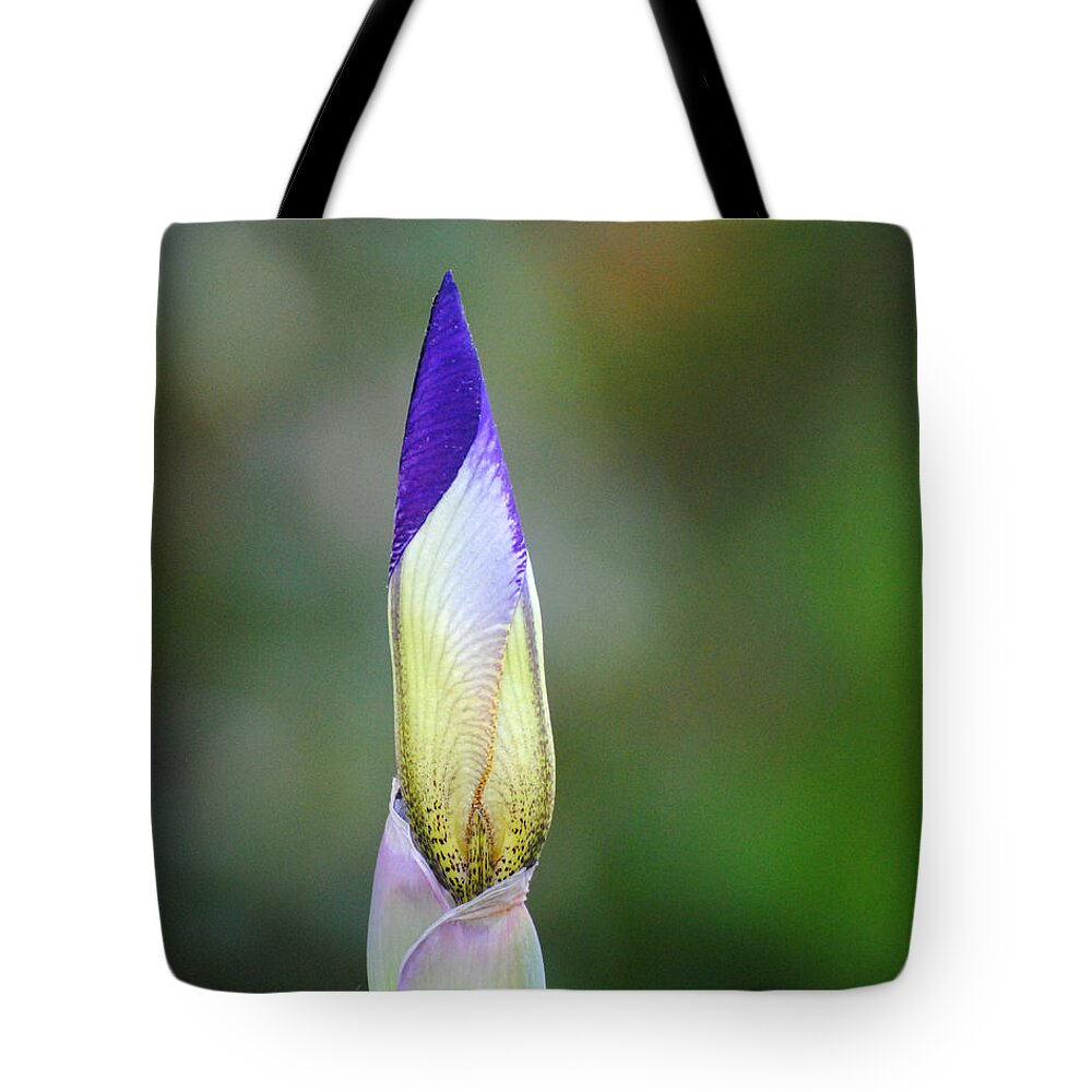 Beautiful Iris Tote Bag featuring the photograph Purple and Yellow Iris Flower Bud by Jai Johnson