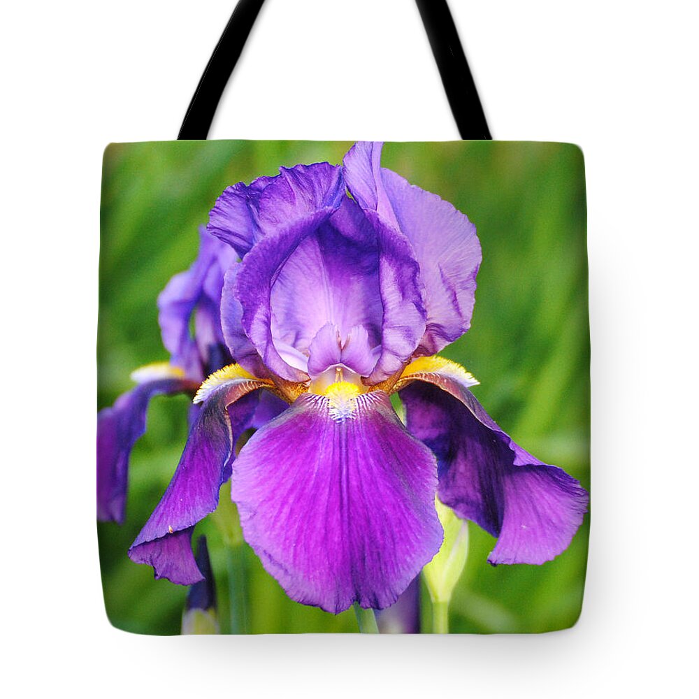 Beautiful Iris Tote Bag featuring the photograph Purple and Yellow Iris Flower by Jai Johnson