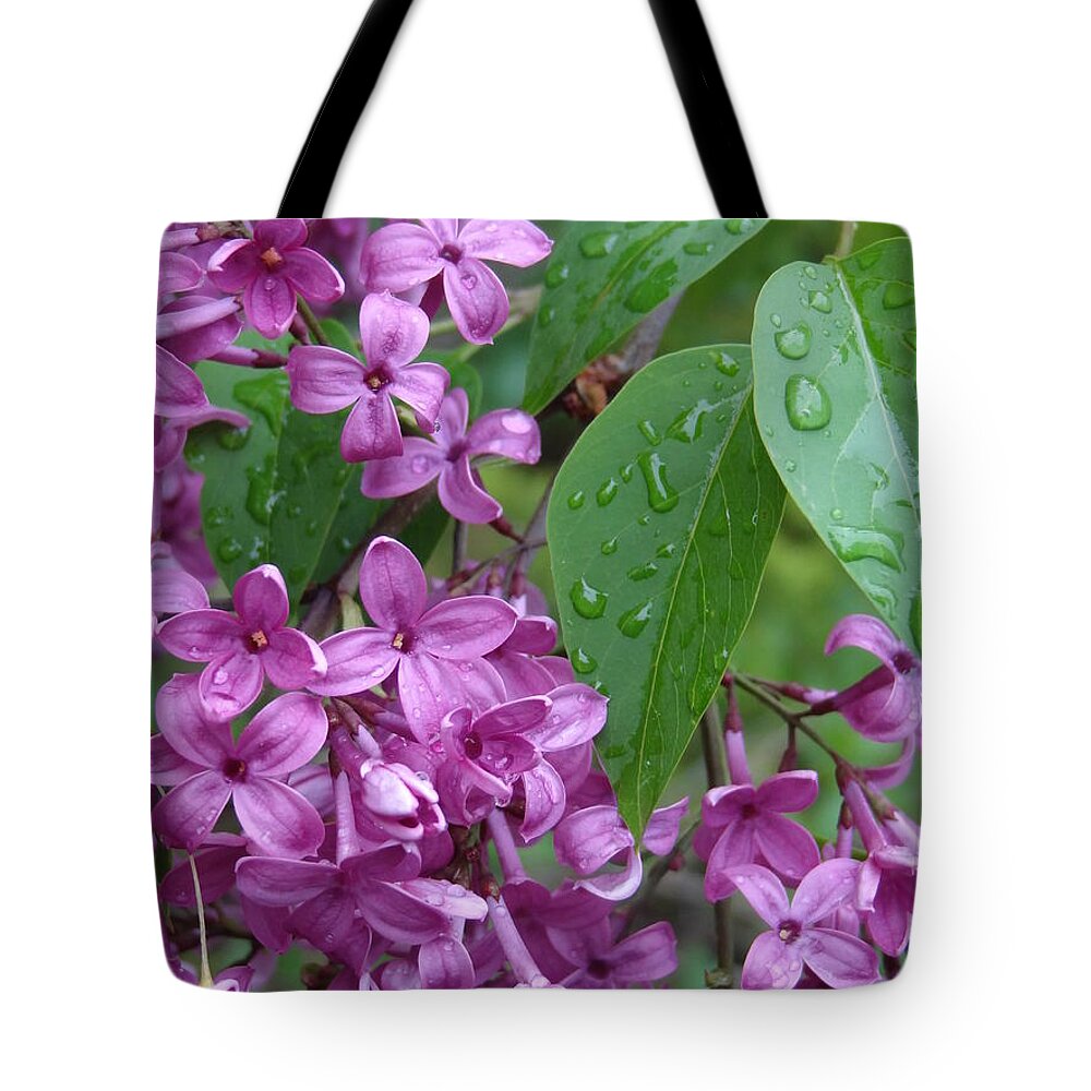 Purple Lilac Tote Bag featuring the photograph Purple Lilac by Laurel Best