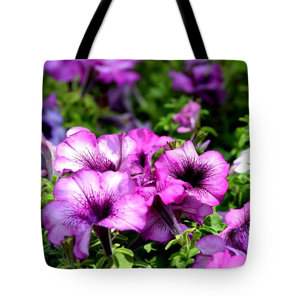 Purple Tote Bag featuring the photograph Purple Petunias by Maria Urso