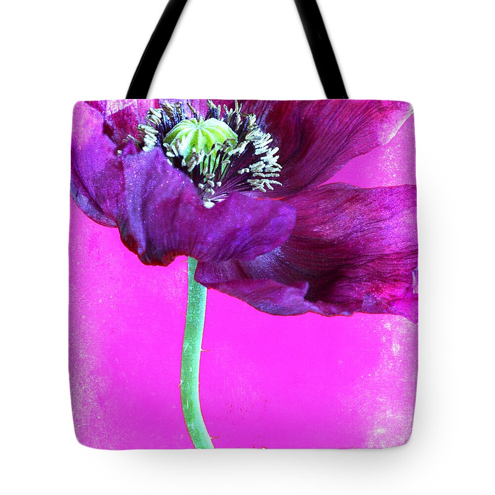 Flower Tote Bag featuring the photograph Purple Poppy on Pink by Carol Leigh