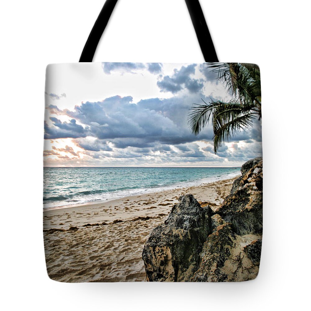 Beach Tote Bag featuring the photograph Quiet Time by Shari Jardina