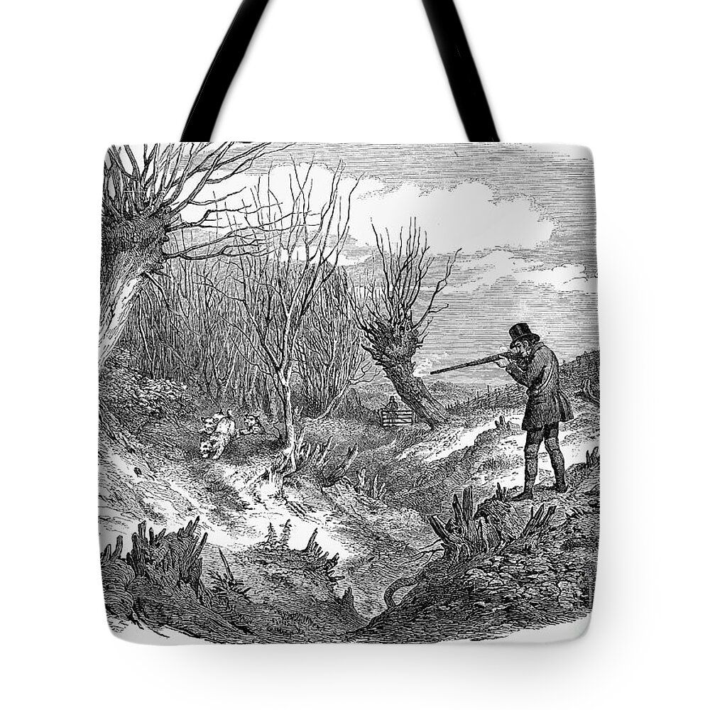 1850 Tote Bag featuring the photograph Rabbit Hunting, 1850 by Granger