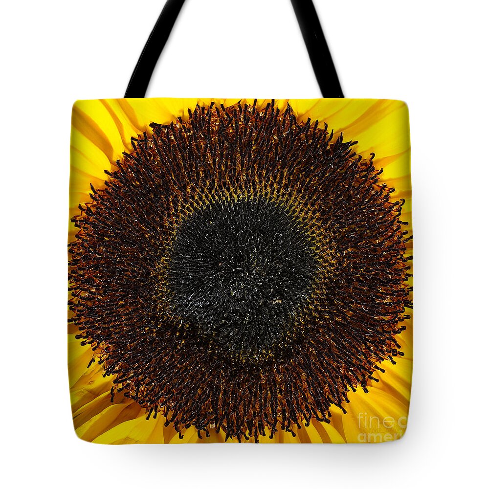 Yellow Tote Bag featuring the photograph Radiance by Luke Moore