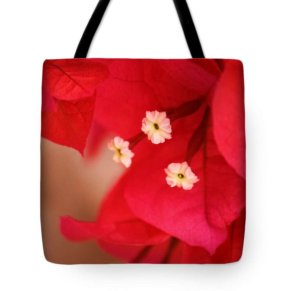 Bougenvilla Tote Bag featuring the photograph Radish Red by Julie Lueders 