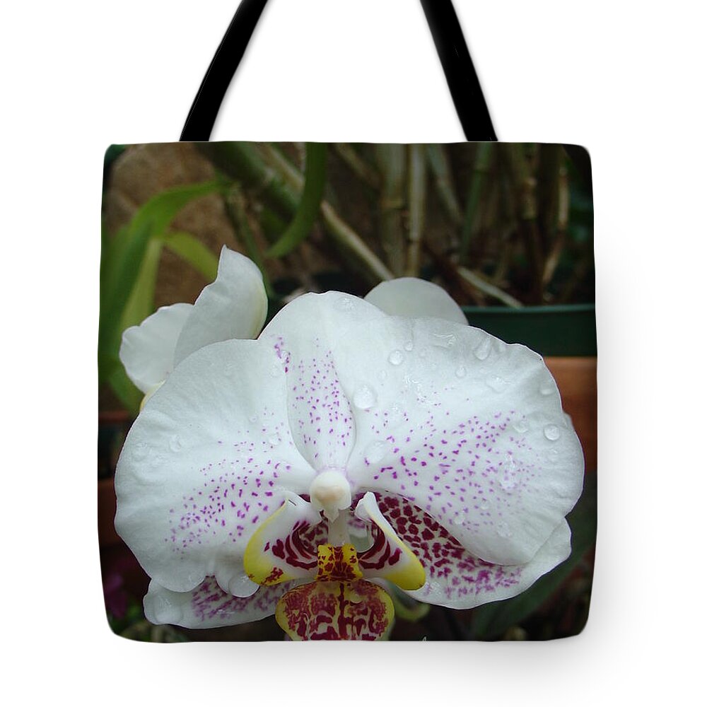Rain Tote Bag featuring the photograph Rain Drops on Orchid by Charles and Melisa Morrison