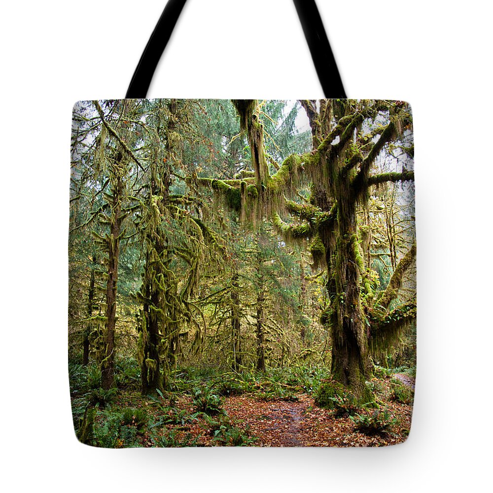 Rain Tote Bag featuring the photograph Rain forest in fall by Olivier Steiner