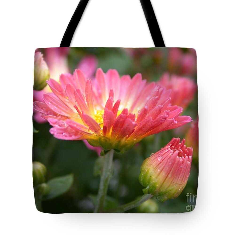 Floral Tote Bag featuring the photograph Rainbow Mums by Living Color Photography Lorraine Lynch