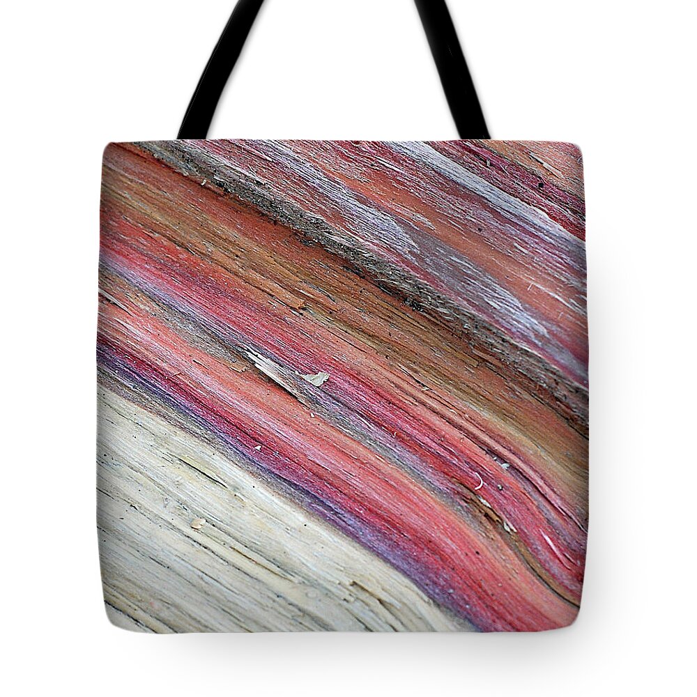 Nature Tote Bag featuring the photograph Rainbow Wood by Lisa Phillips