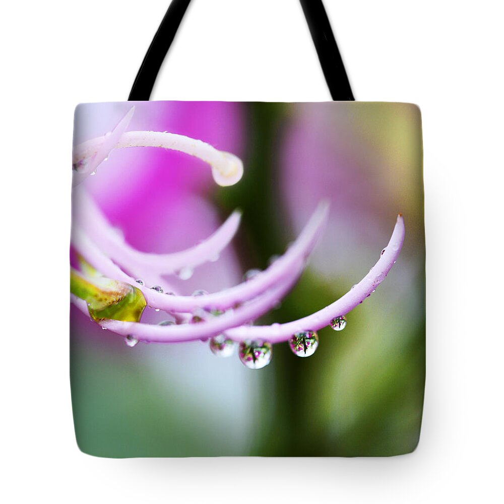 Amherstia Tote Bag featuring the photograph Raindrops on Amherstia Nobilis by Marilyn Hunt
