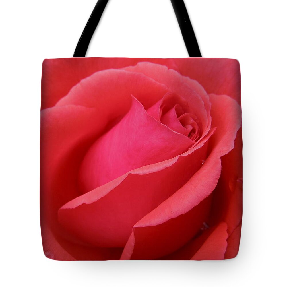 Flowers Tote Bag featuring the photograph Raindrops on Roses Six by Diana Hatcher