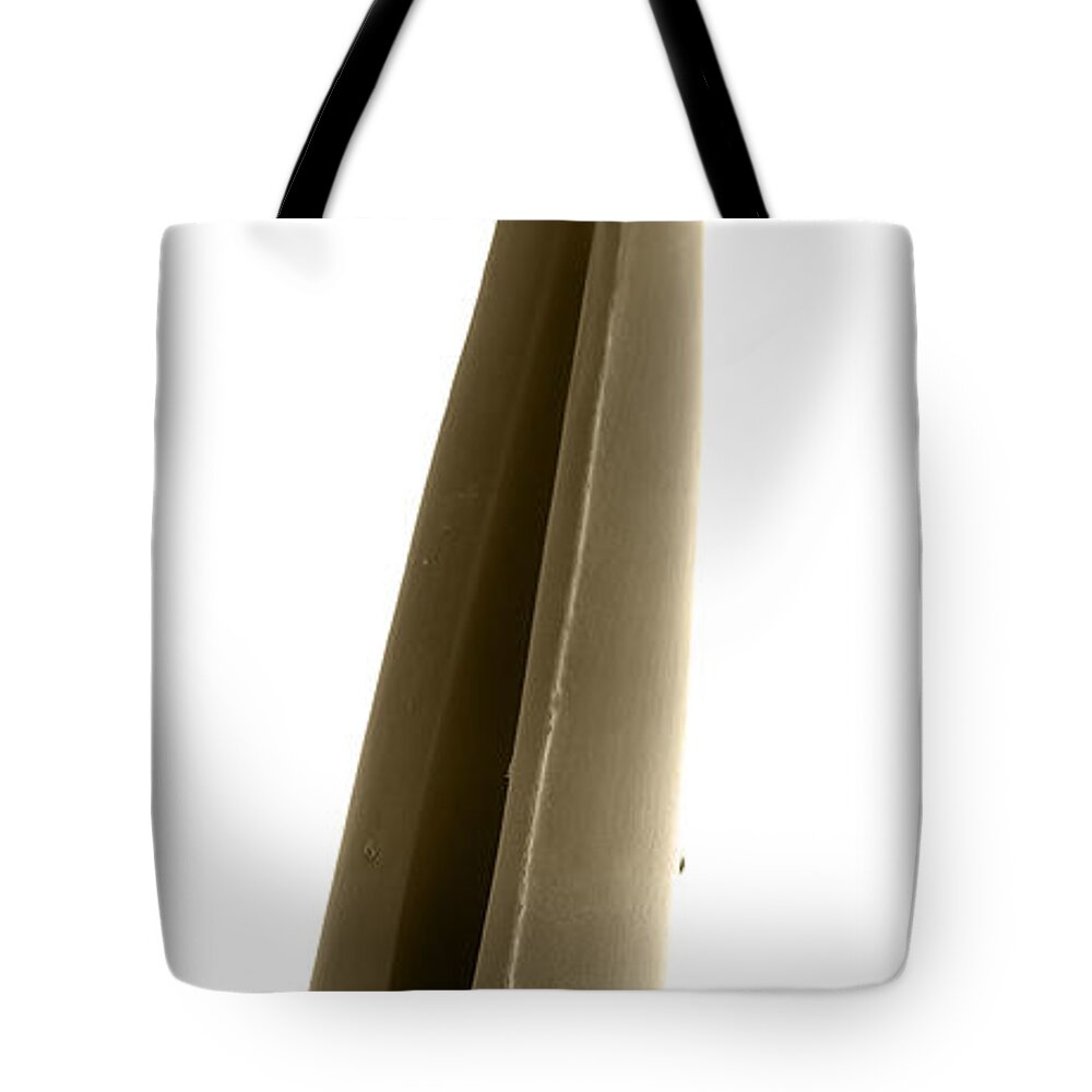 Sem Tote Bag featuring the photograph Rattlesnake Fang, Sem by Ted Kinsman