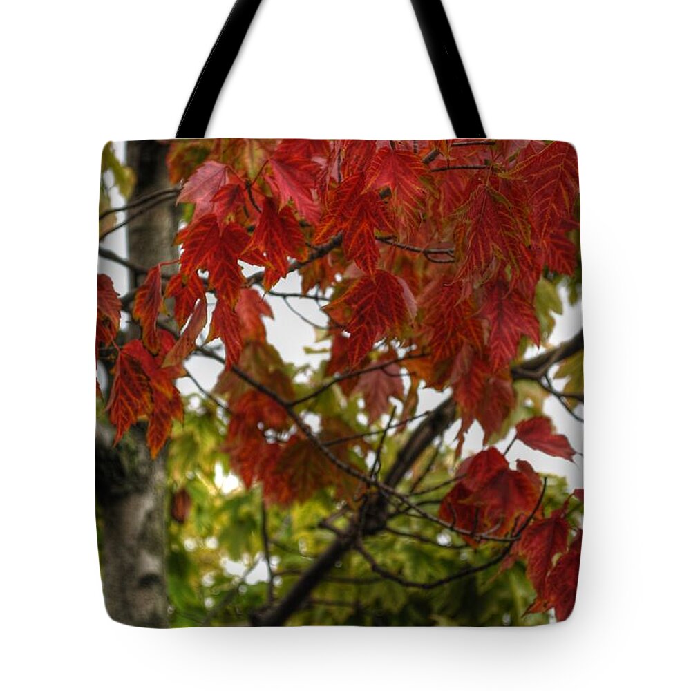  Tote Bag featuring the photograph Red and Green Prior X-Mas by Michael Frank Jr