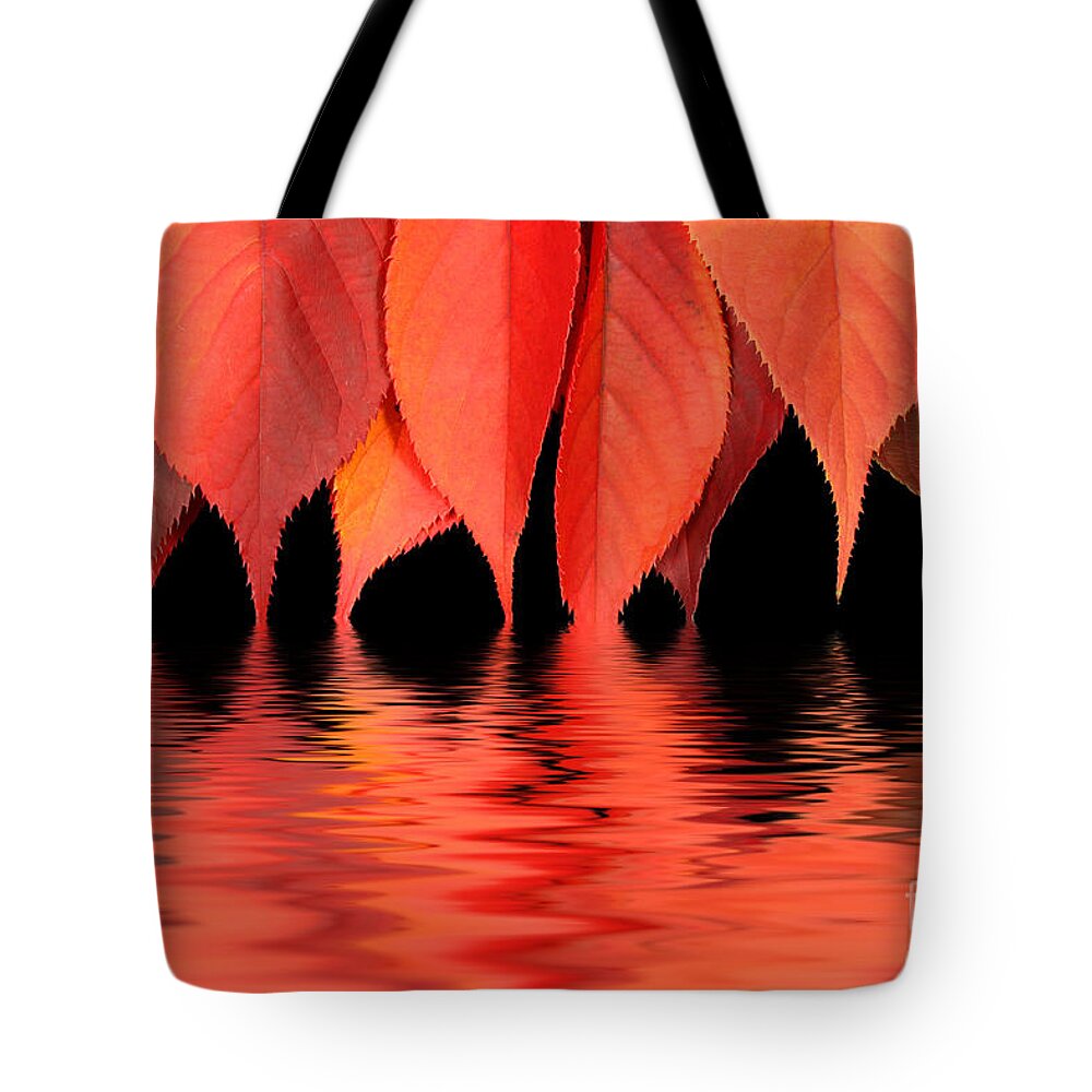 Flames Tote Bag featuring the photograph Red autumn leaves in water by Simon Bratt