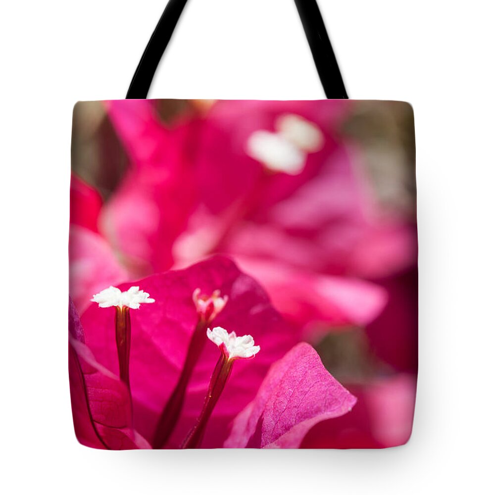 Ralf Tote Bag featuring the photograph red Bougainvillea by Ralf Kaiser