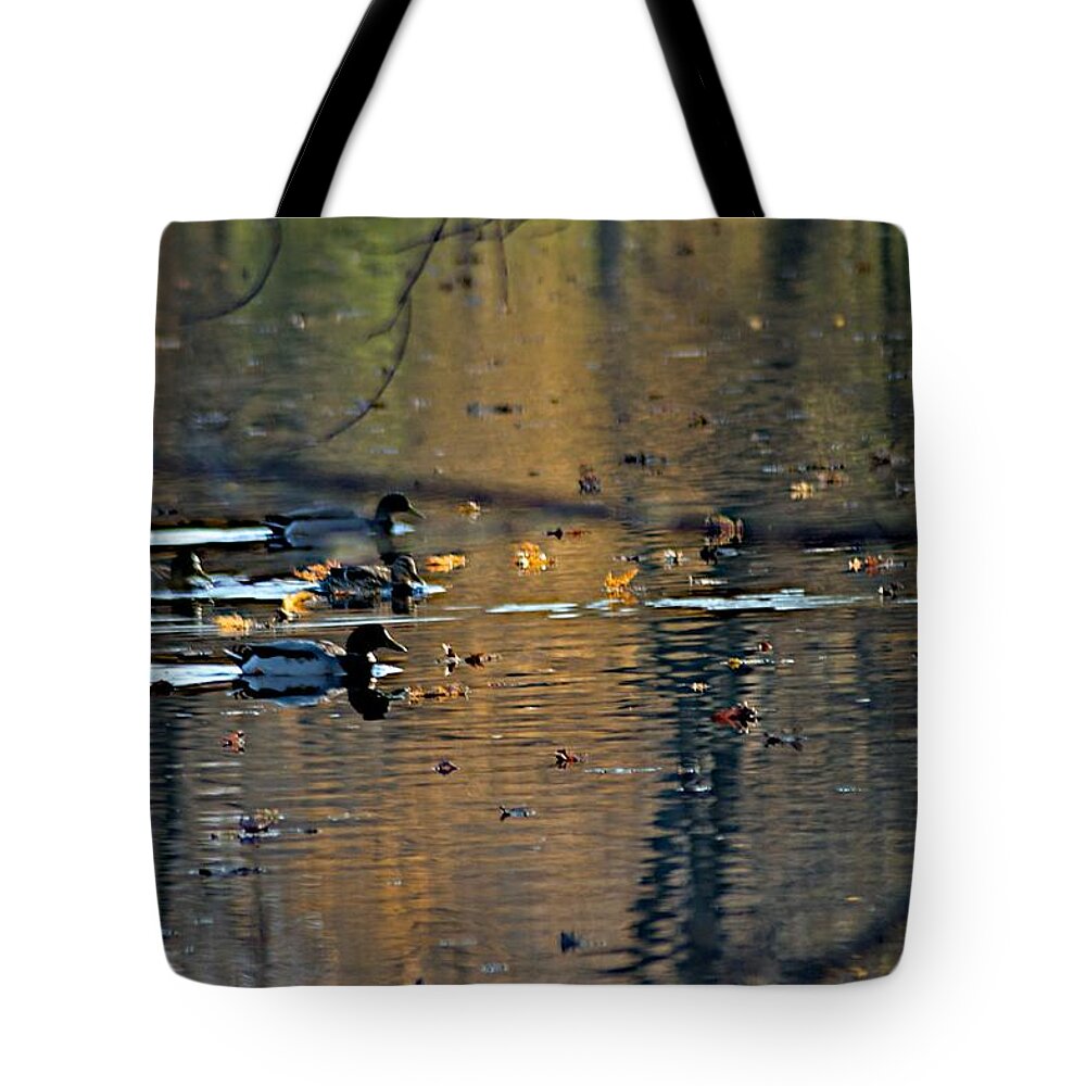 Ducks Tote Bag featuring the photograph Red Cedar Fall by Joseph Yarbrough
