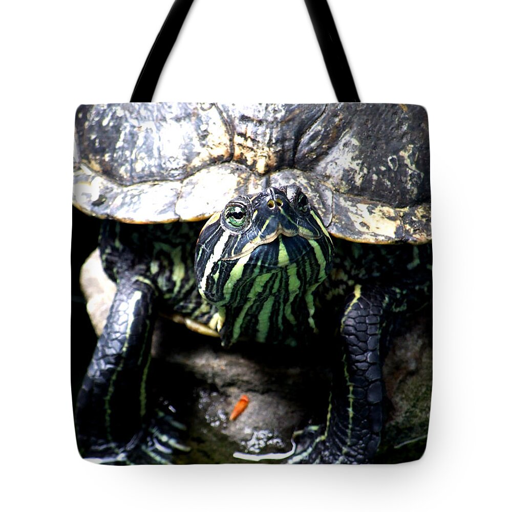 Artoffoxvox Tote Bag featuring the photograph Red Earred Slider Turtle Pose Photography by Kristen Fox