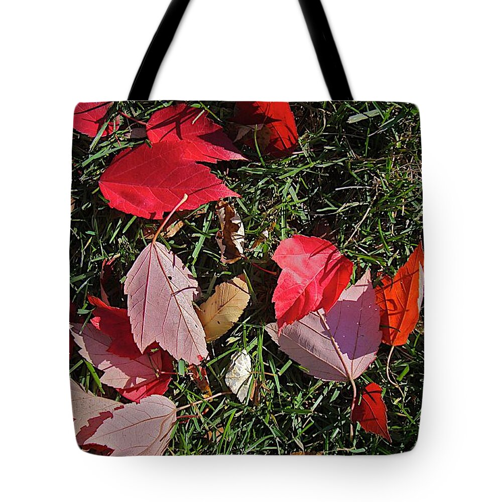 Fall Leaves Tote Bag featuring the photograph Red Fall by Joseph Yarbrough