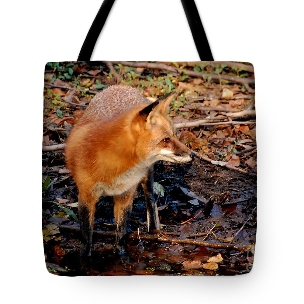 Fox Tote Bag featuring the photograph Red Fox At The Rivers Edge by Kathy Baccari