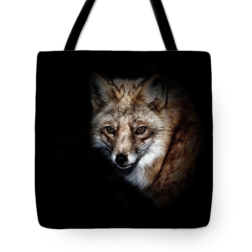 Fox Tote Bag featuring the photograph Red Fox by Karol Livote