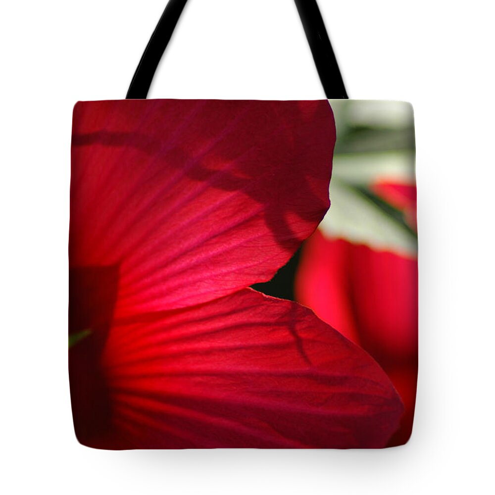 Hibiscus Tote Bag featuring the photograph Red Hibiscus by David Weeks