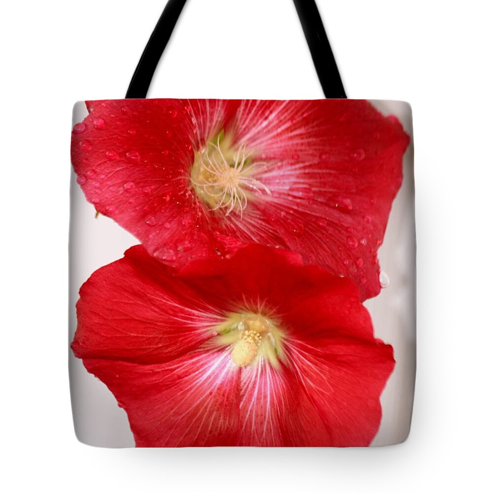 Red Hollyhocks Tote Bag featuring the photograph Red Hollyhocks by Donna Walsh