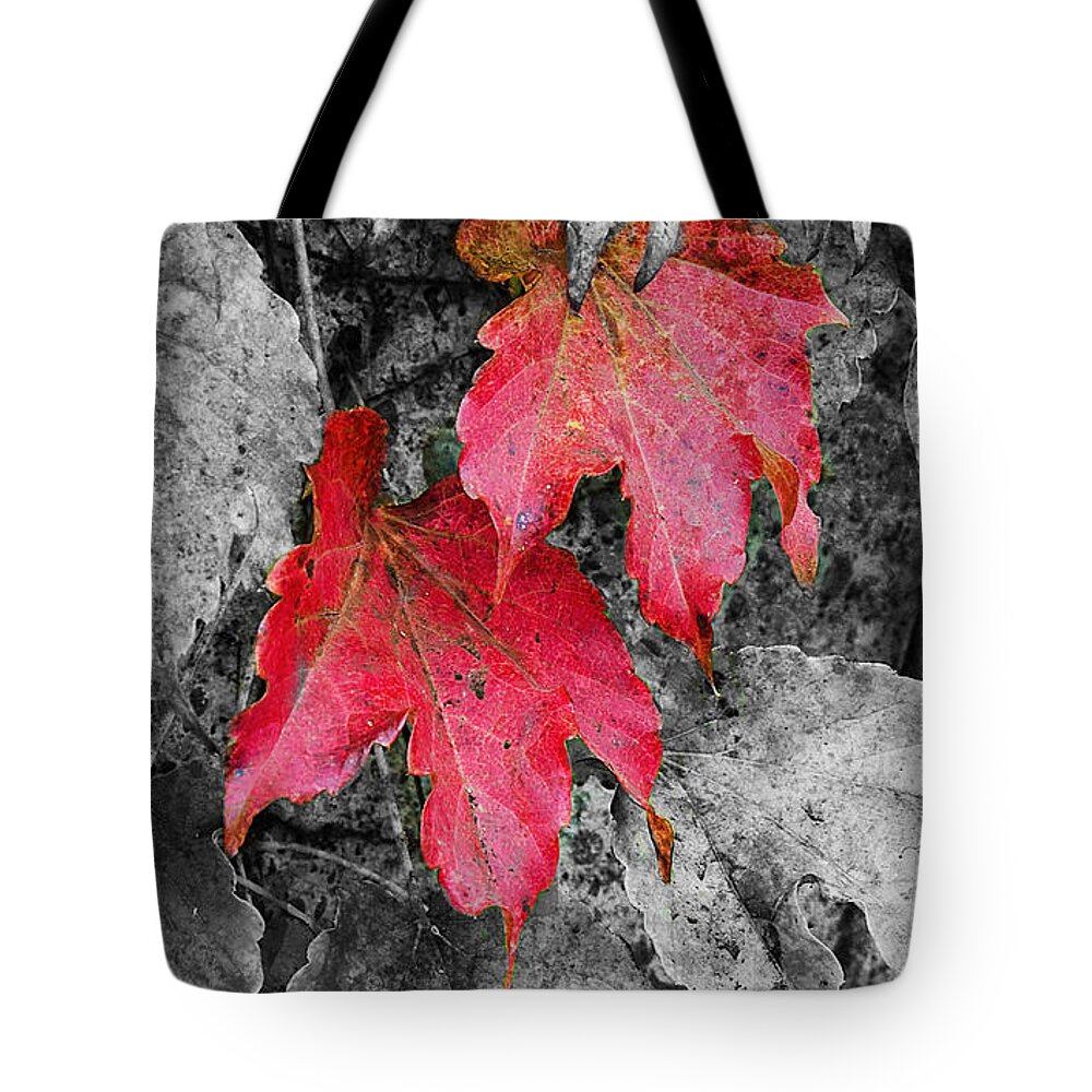 Fall Tote Bag featuring the photograph Red Leaves by Jim And Emily Bush