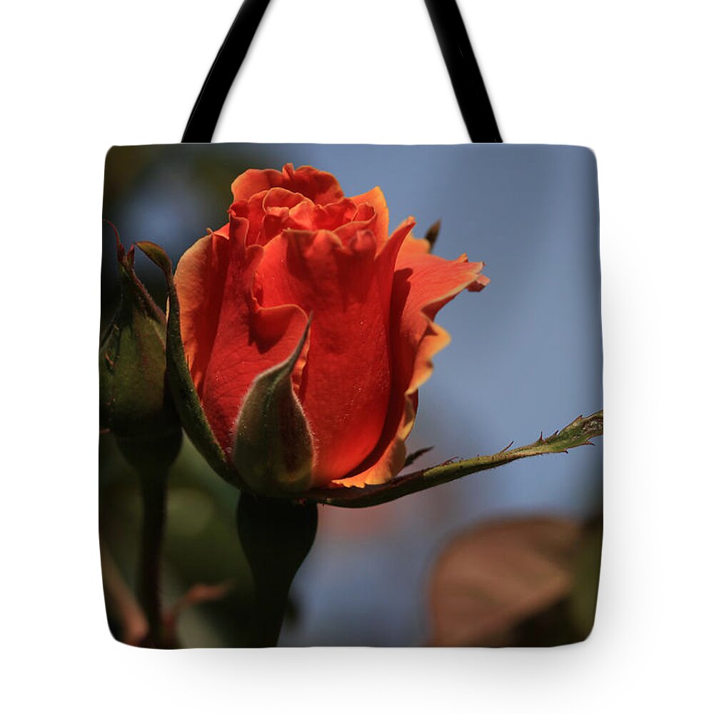 Floral Tote Bag featuring the photograph Red Rose Bud vert by Donna Corless