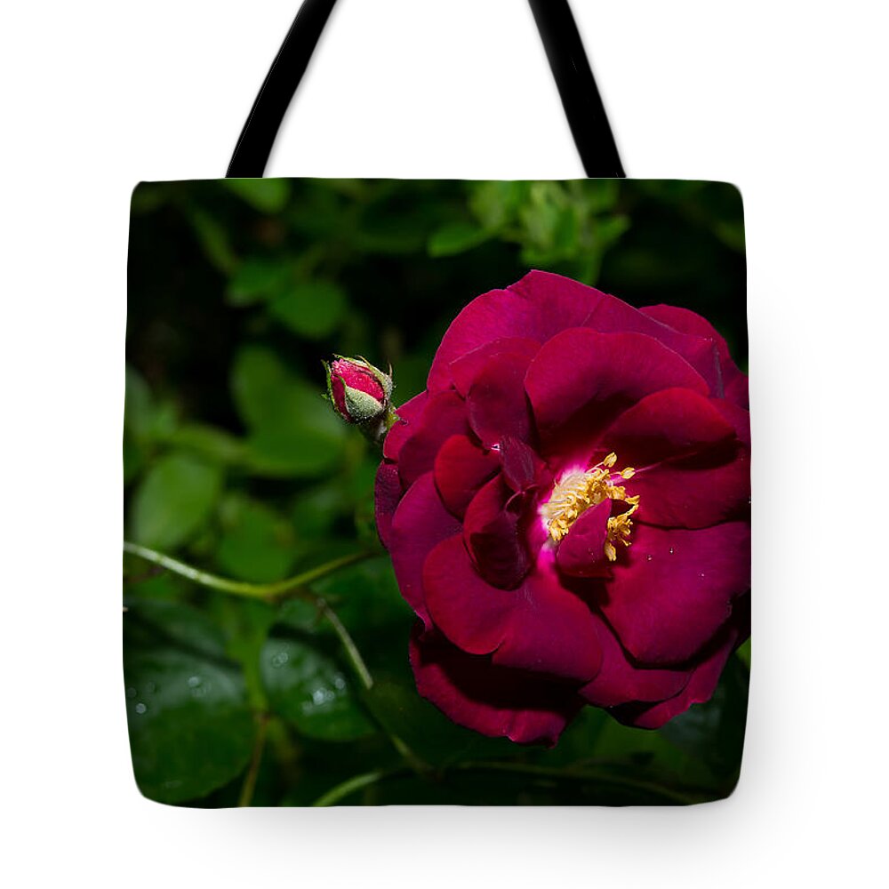 Da L 35 2.4 Tote Bag featuring the photograph Red Rose in the Wild by Lori Coleman