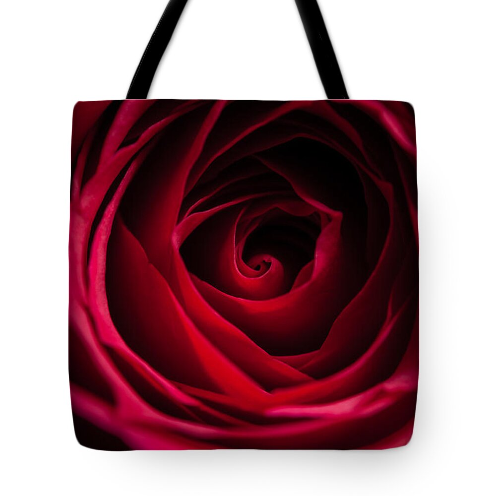 Flower Tote Bag featuring the photograph Red Rose by Matt Malloy