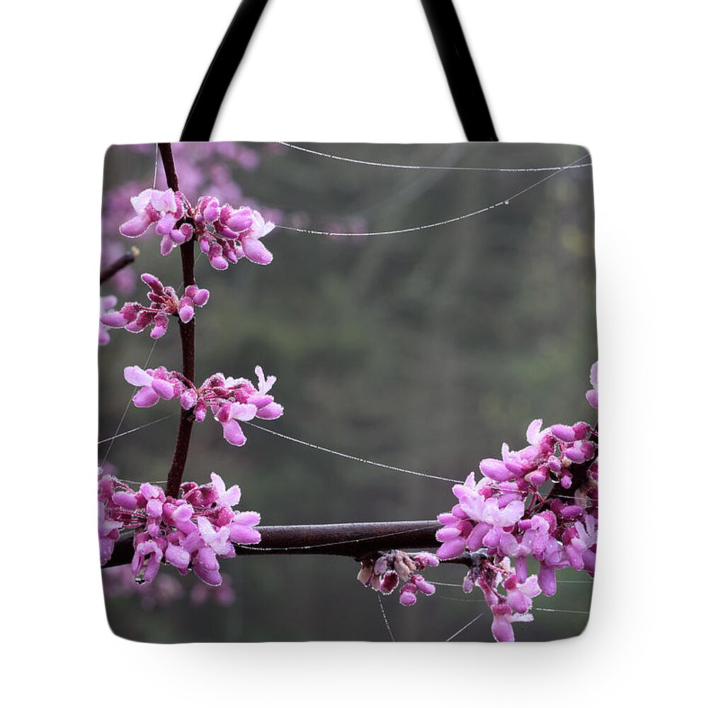 Cercis Canadensis Tote Bag featuring the photograph Redbud With Webs And Dew by Daniel Reed
