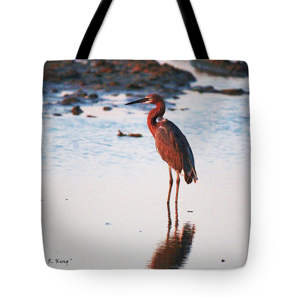 Roena King Tote Bag featuring the photograph Reddish Egret Basking in the Sunset by Roena King