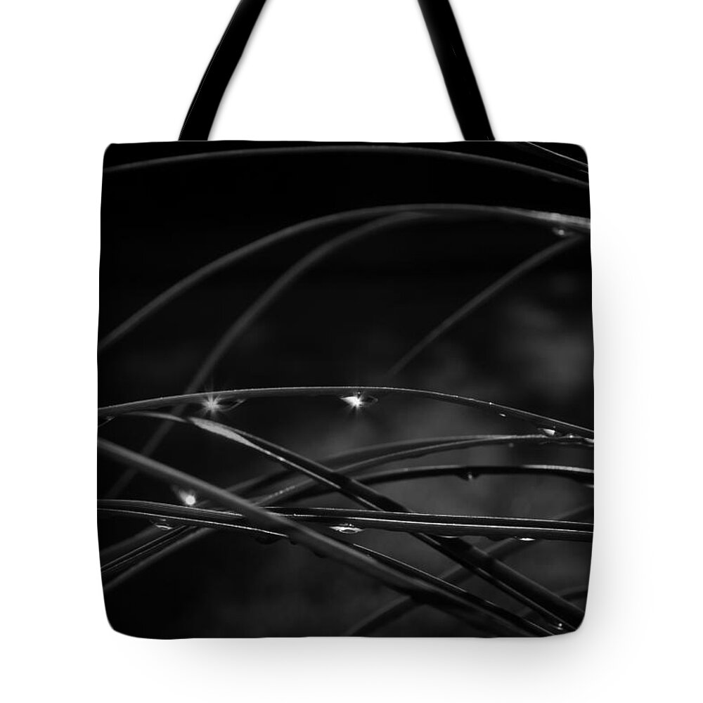 Plants Tote Bag featuring the photograph Reeds and Water Drops by Roger Mullenhour