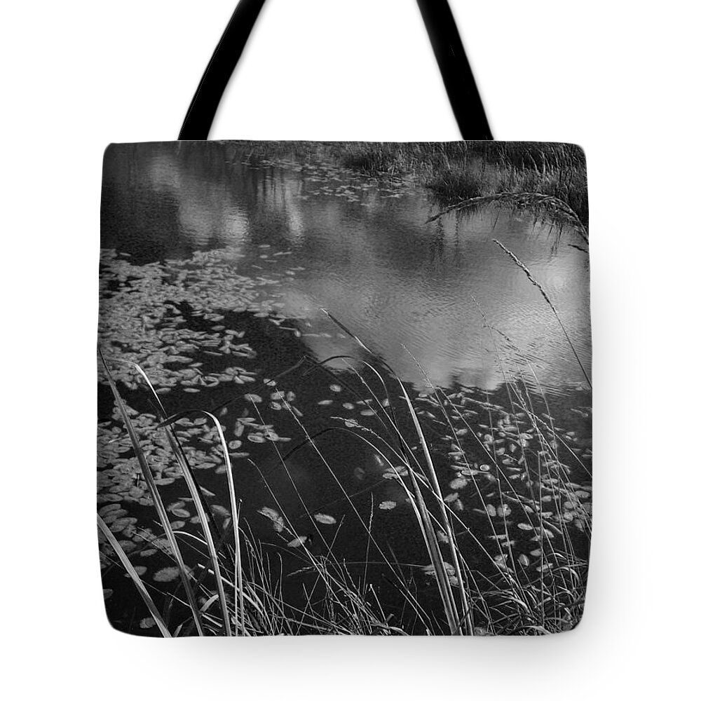 Water Tote Bag featuring the photograph Reflections in the Pond by Kathleen Grace