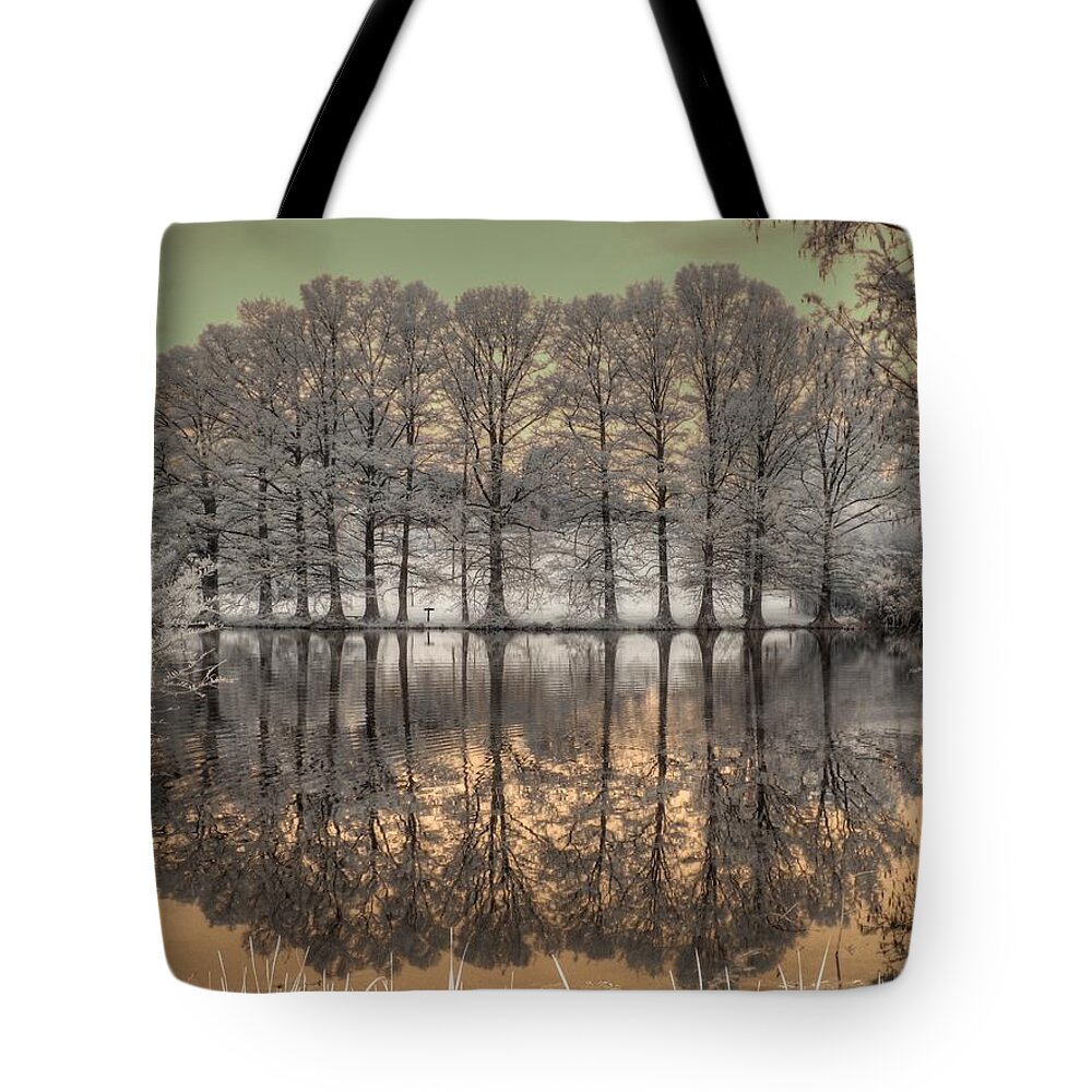 Landscape Tote Bag featuring the photograph Reflections by Jane Linders