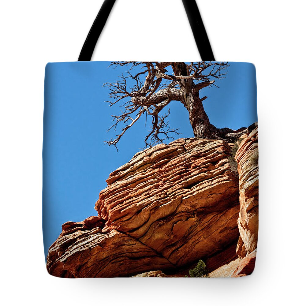 Tree Tote Bag featuring the photograph Remnants Of A Struggle by Christopher Holmes