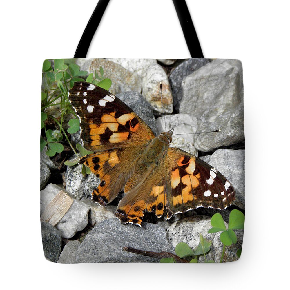 Butterfly Tote Bag featuring the photograph Resting On Rocky Clovers by Kim Galluzzo Wozniak