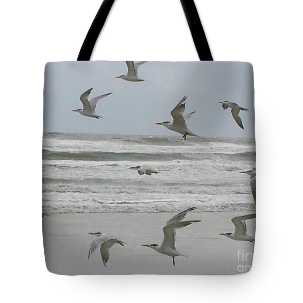 Beach Tote Bag featuring the photograph Riding The Wind by Donna Brown