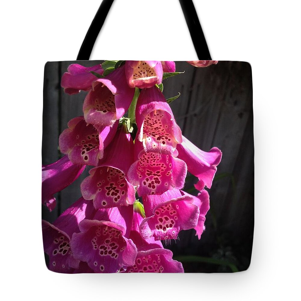 Digitalis Tote Bag featuring the photograph Right Spot by Joseph Yarbrough