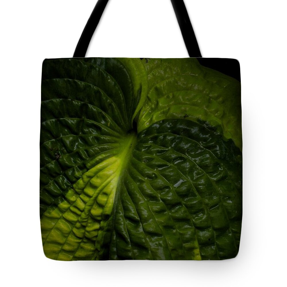 Green Tote Bag featuring the painting Ripples 2 by Renate Wesley