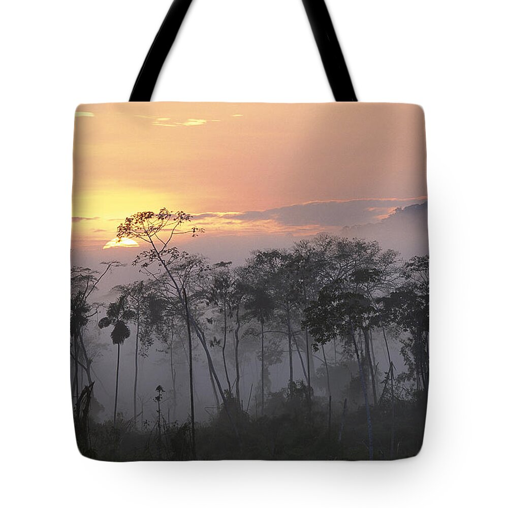 Mp Tote Bag featuring the photograph River Edge At Dawn, Lower Urubamba by Pete Oxford