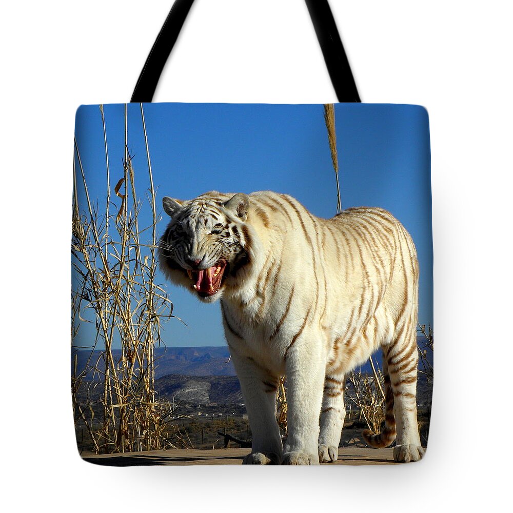 Tiger Tote Bag featuring the photograph Roar by Kim Galluzzo Wozniak