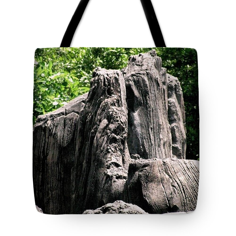 Rock Formation Tote Bag featuring the photograph Rock Formation by Maria Urso