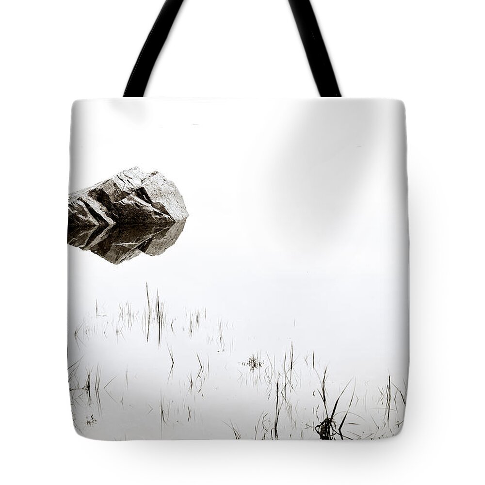 Rock in the Water Tote Bag by Steve Gadomski - Pixels Merch