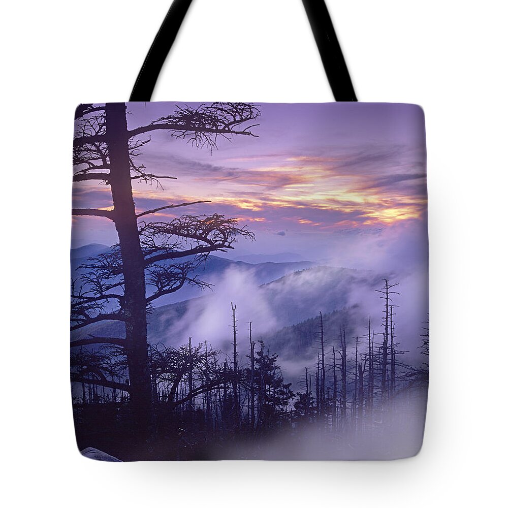00175732 Tote Bag featuring the photograph Rolling Fog On Clingmans Dome Great by Tim Fitzharris