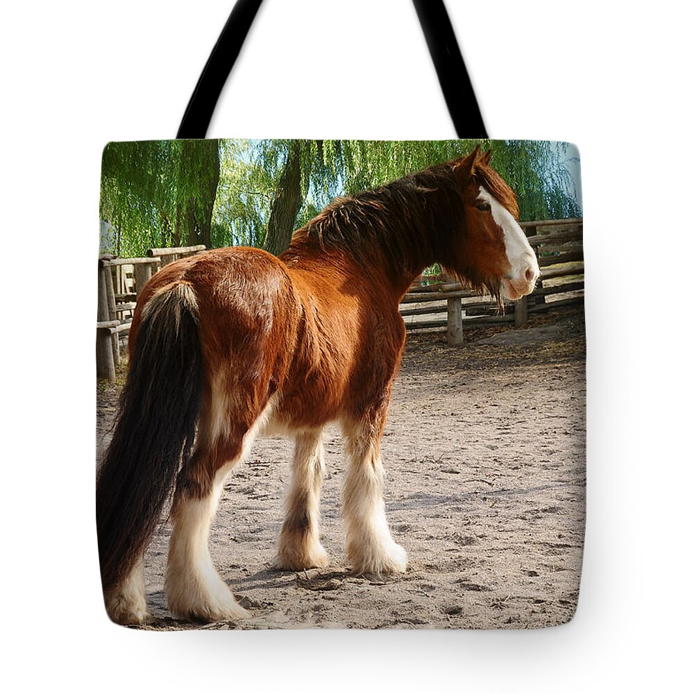 Animals Tote Bag featuring the photograph Rooster the Clydesdale 2 by Elaine Manley