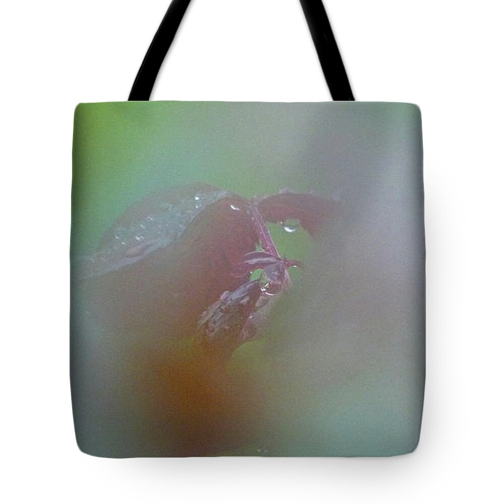 Leaf Tote Bag featuring the photograph Rose Leaf by Juergen Roth