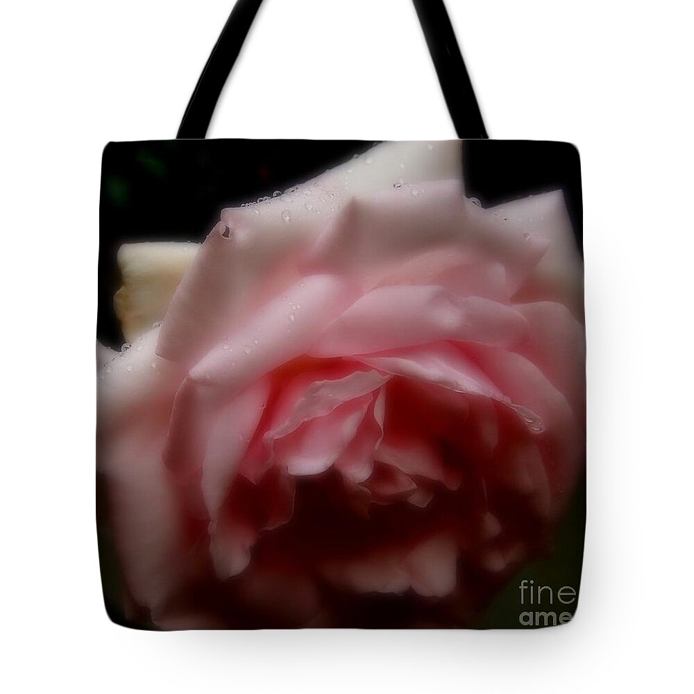 Rose Tote Bag featuring the photograph Rose by Sylvie Leandre