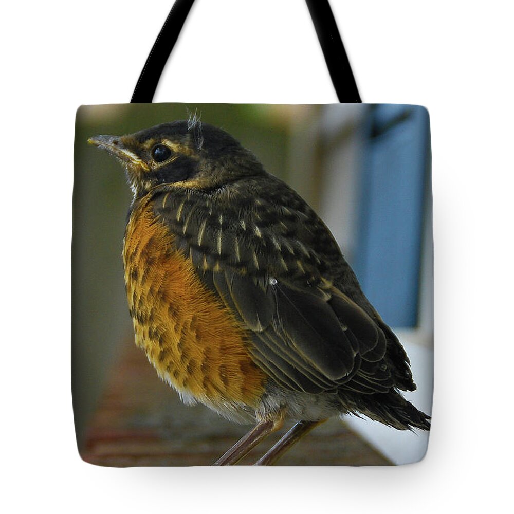 Birds Tote Bag featuring the photograph Ruffian by Guy Whiteley